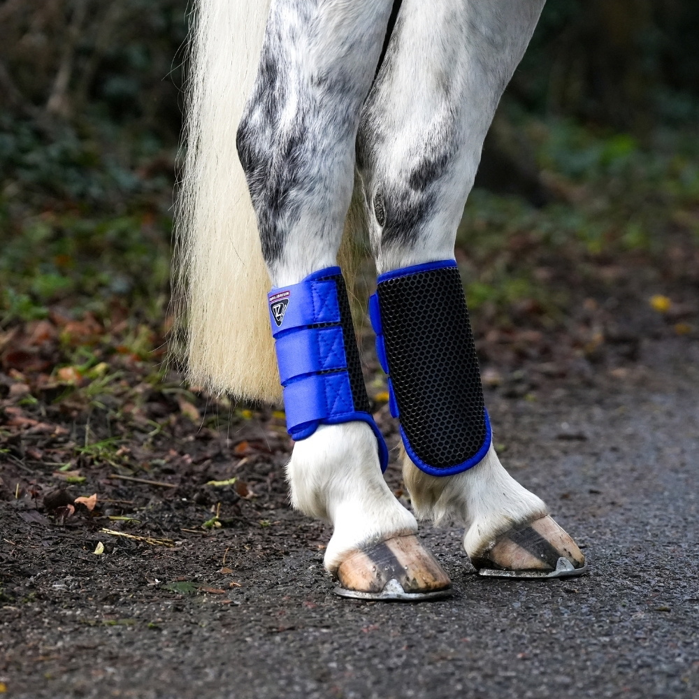 Equilibrium Tri-Zone Brushing Boot 8546 - Royal Blue